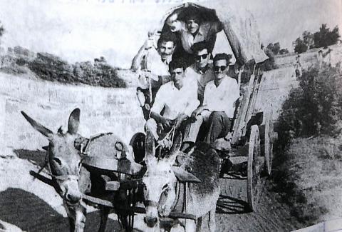 Δεν έχει