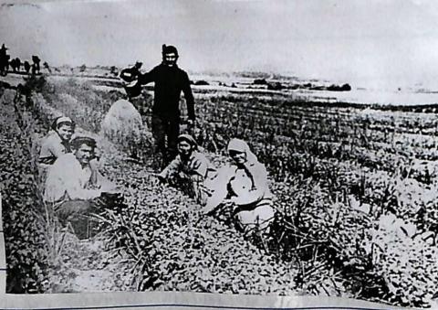 « Φωτογραφία στην οποία απεικονίζονται οι φορεσιές των ανδρών και γυναικών κατά την εργασία τους στα χωράφια με τα καπνά » . Φωτογραφία πέντε ατόμων που βρίσκονται στο χωράφι με τα καπνά. Ο ένας άντρας στέκεται όρθιος πάνω από τους υπόλοιπους που είναι γονατιστοί διπλά στα καπνά. Ασπρόμαυρη φωτογραφία